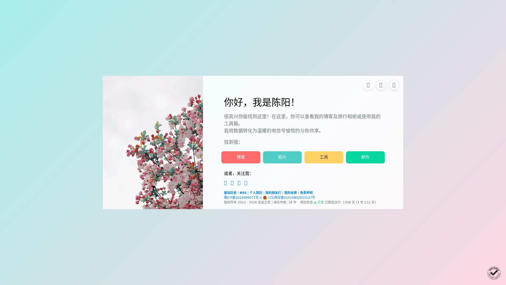 如品之茗 - 春风不语即随本心