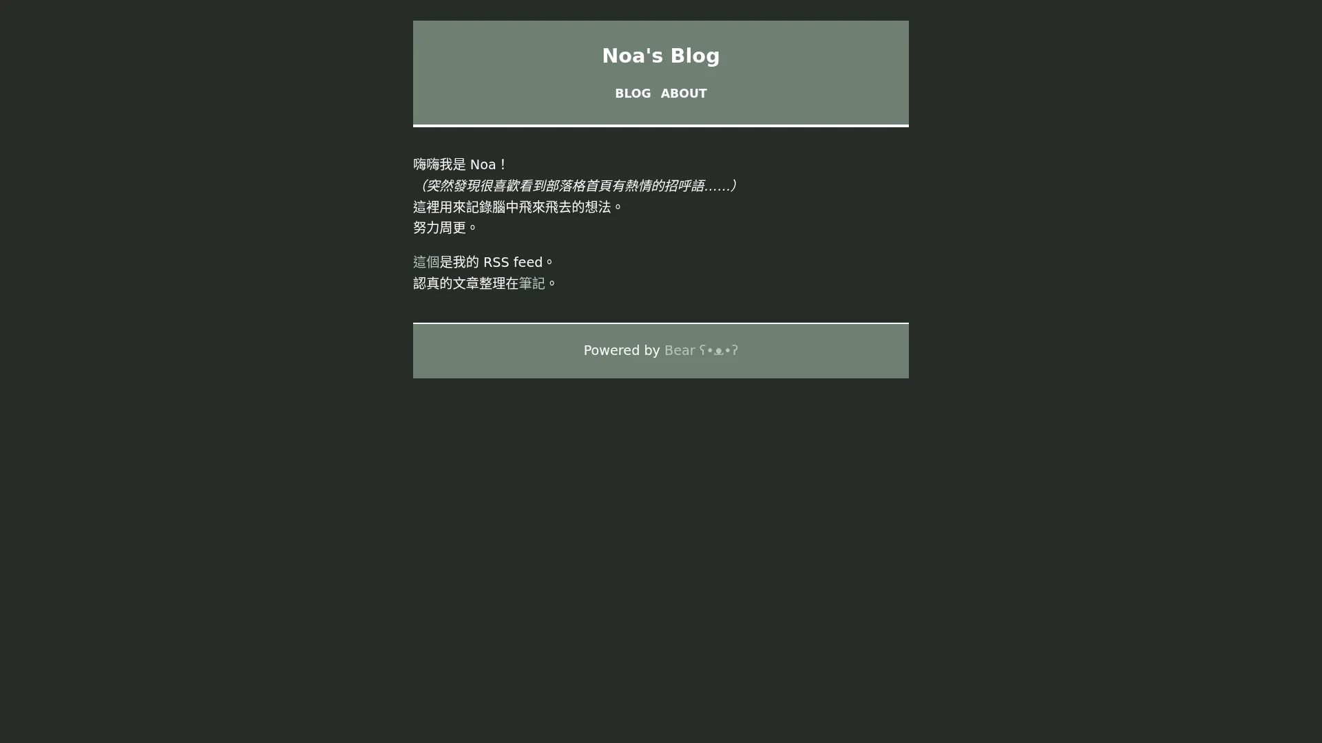 Noa's Blog